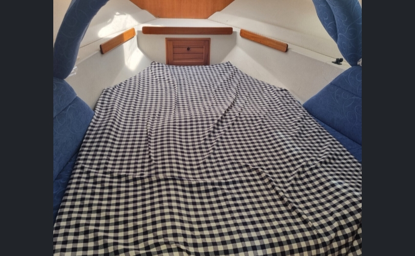 SeaStar 8000 Cruiser-kuva-3